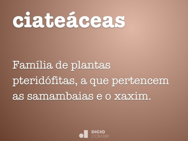 ciateáceas