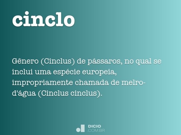 cinclo