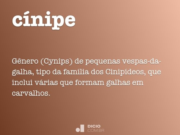cínipe
