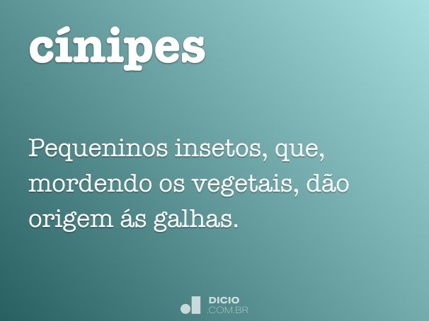 cínipes