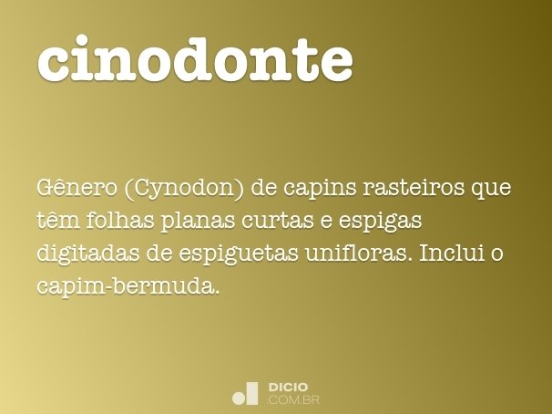 cinodonte