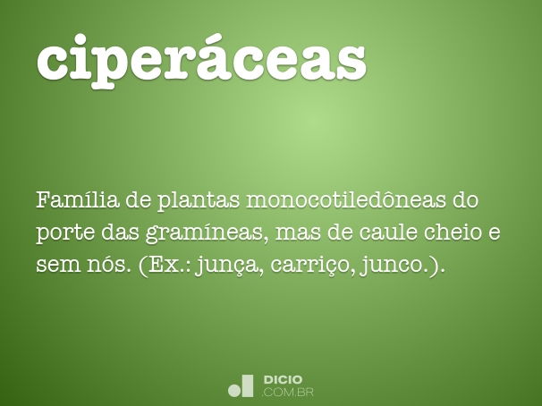 ciperáceas