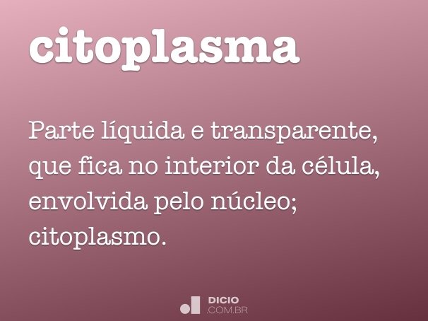 citoplasma