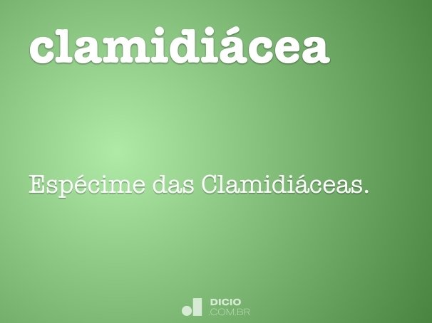clamidiácea