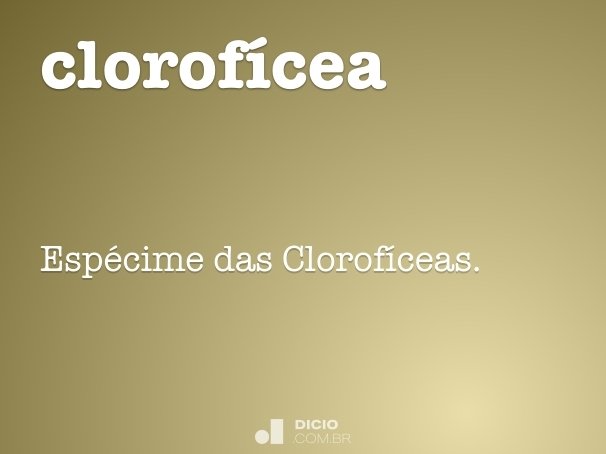 clorofícea