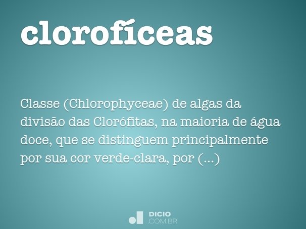 clorofíceas