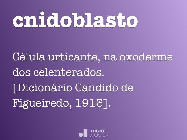 cnidoblasto