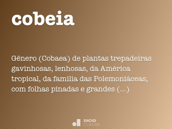 cobeia