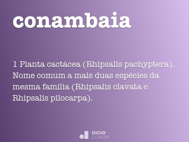 conambaia