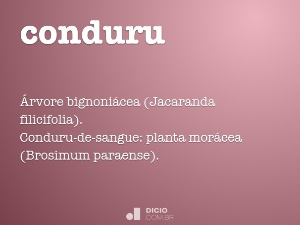 Conduru - Dicio, Dicionário Online de Português