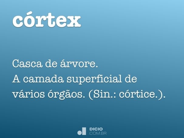 córtex