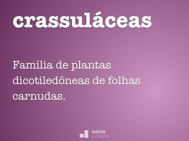 crassuláceas