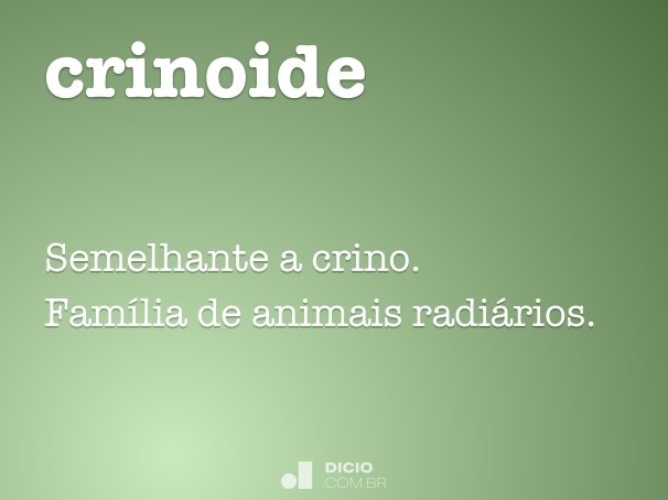 crinoide