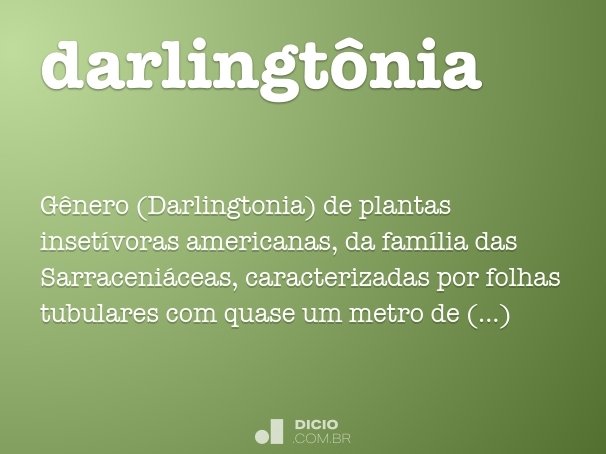 darlingtônia