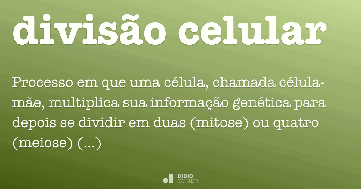 Divisão Celular - Algo Sobre