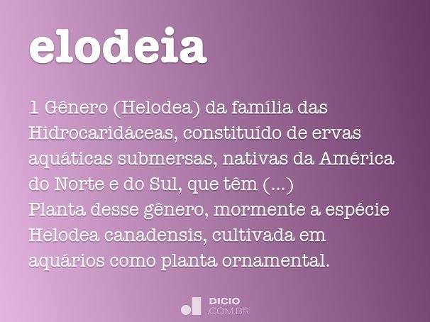 elodeia