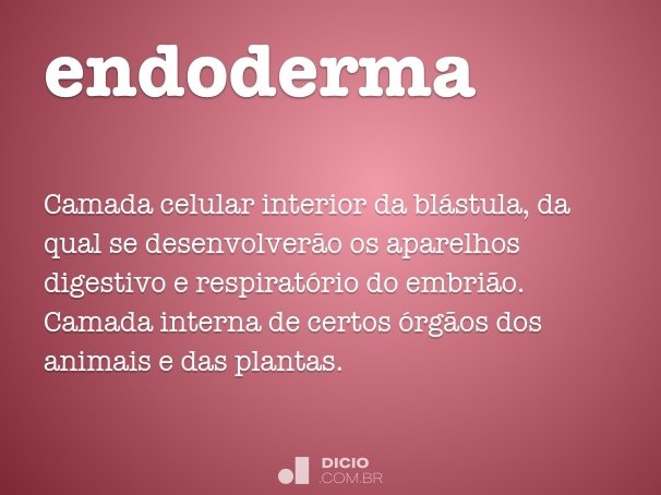 endoderma