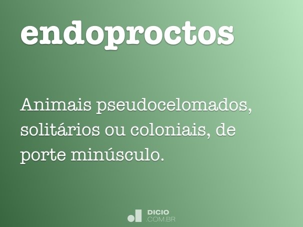 endoproctos