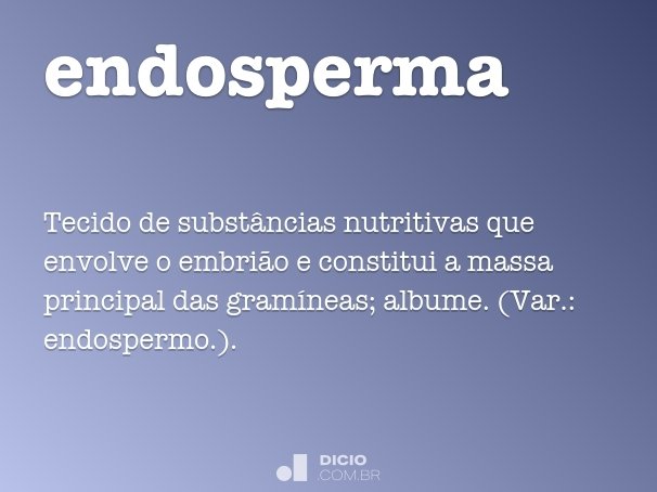 endosperma