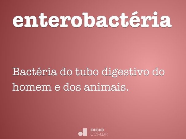 enterobactéria
