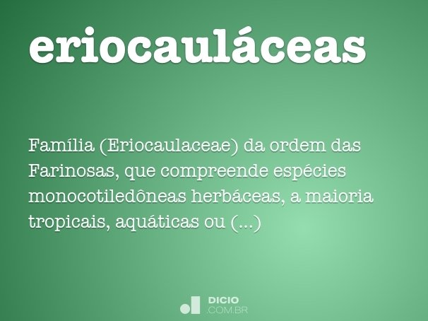 eriocauláceas