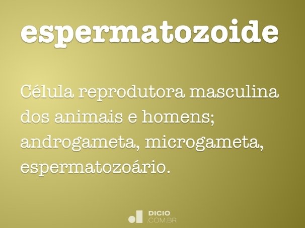 espermatozoide