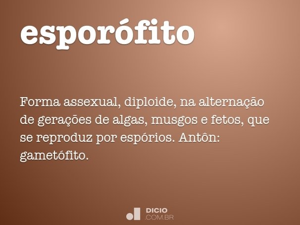 esporófito