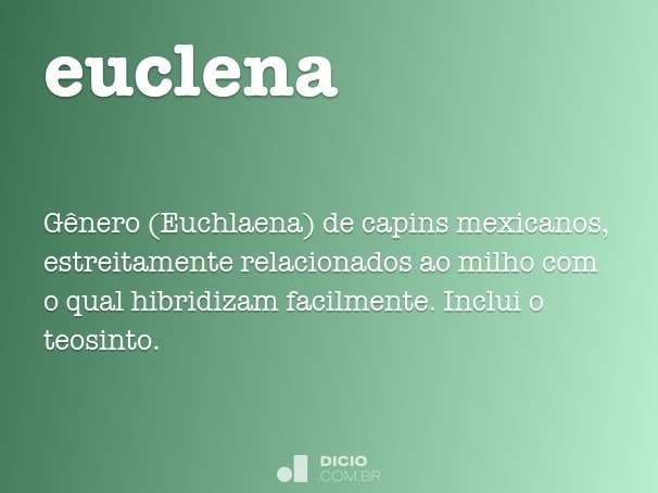 euclena