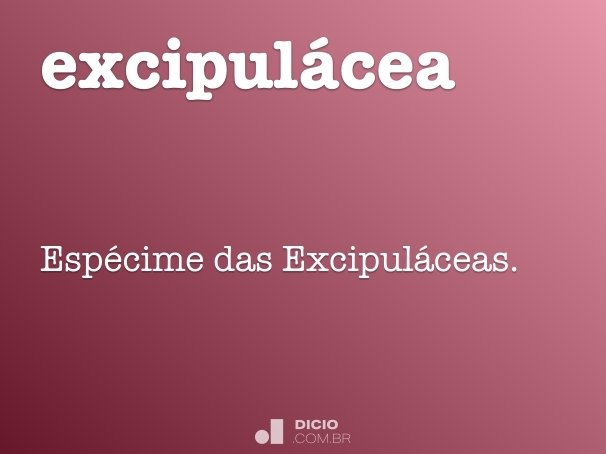 excipulácea