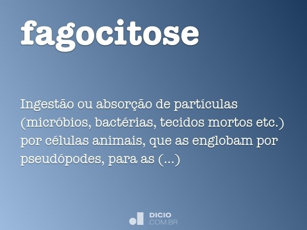 fagocitose