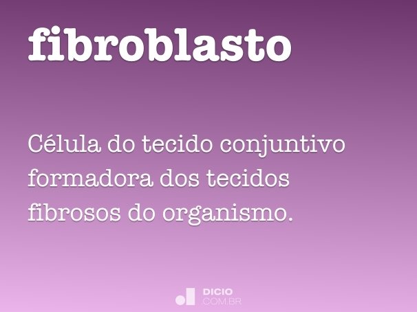 fibroblasto