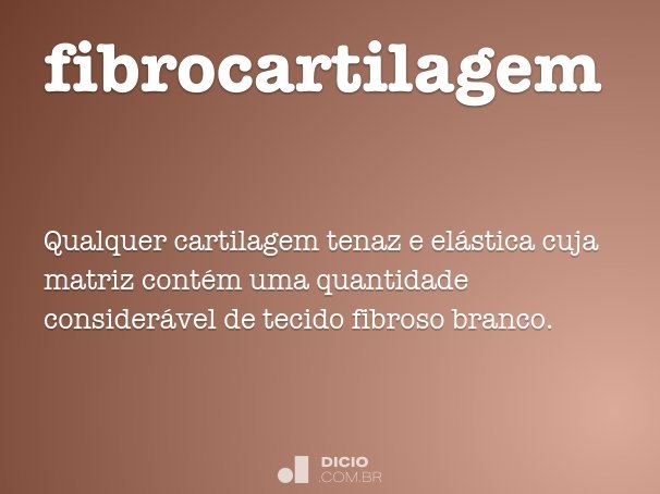fibrocartilagem