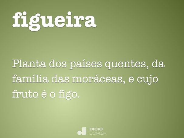 figueira