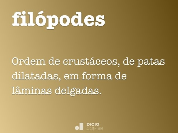 filópodes