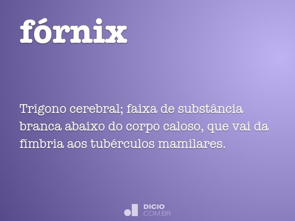 fórnix