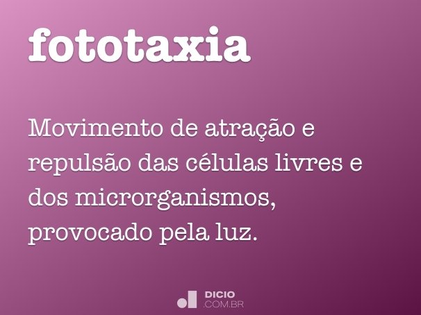 fototaxia