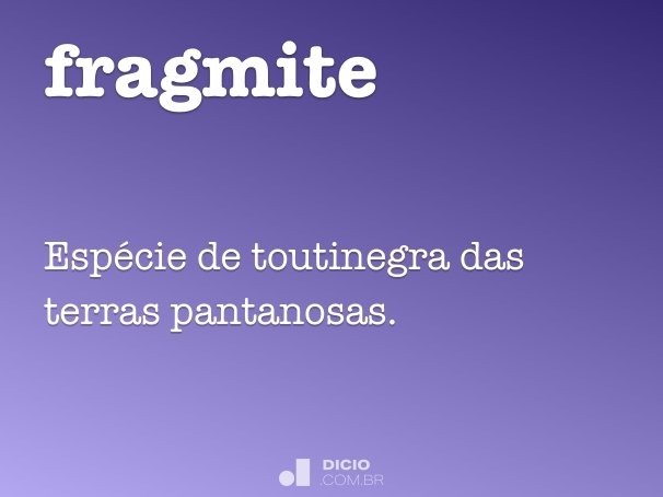 fragmite
