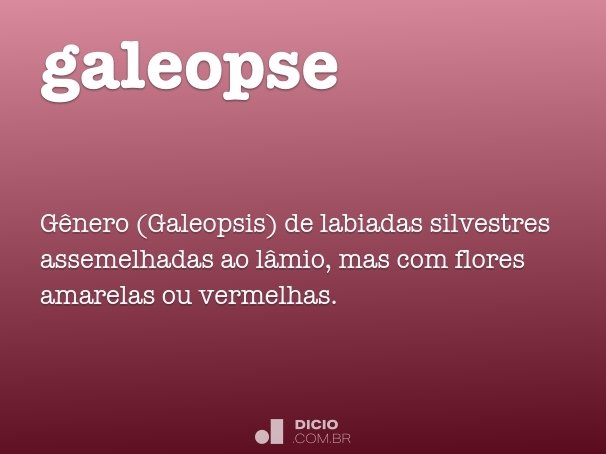 galeopse