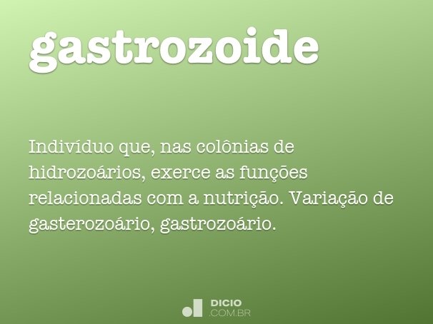 gastrozoide
