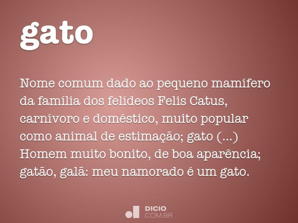 gato