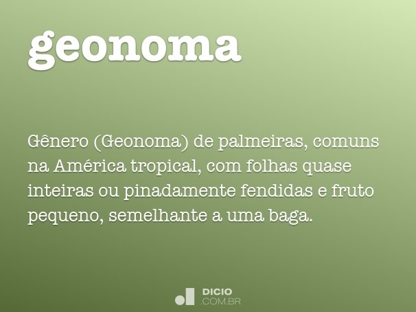 geonoma