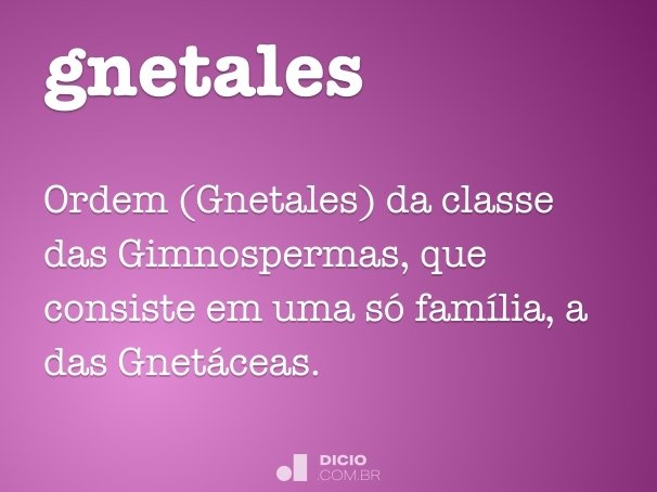 gnetales