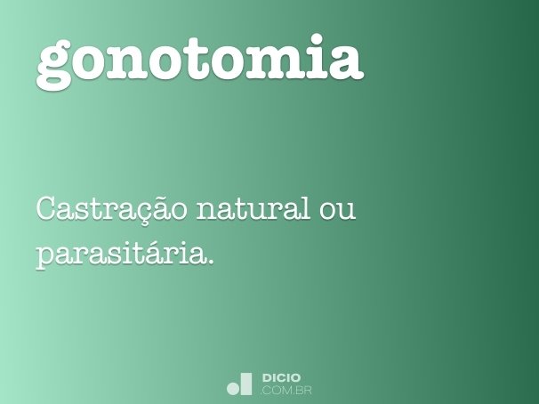 gonotomia