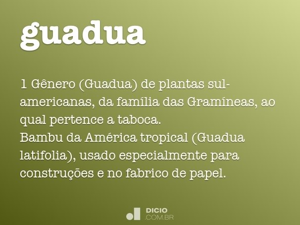 guadua