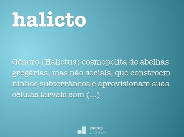 halicto