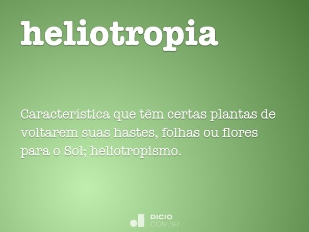 heliotropia