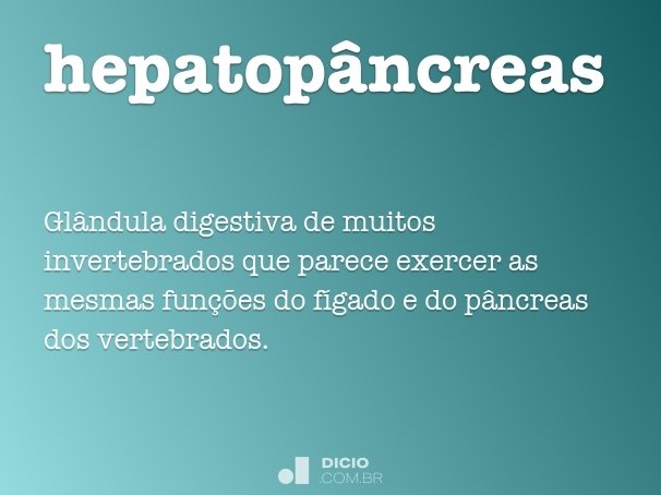 hepatopâncreas