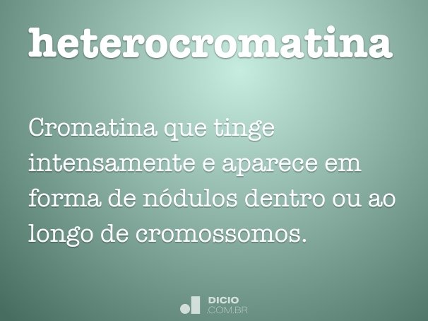 heterocromatina