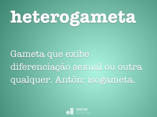 heterogameta