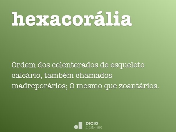 hexacorália